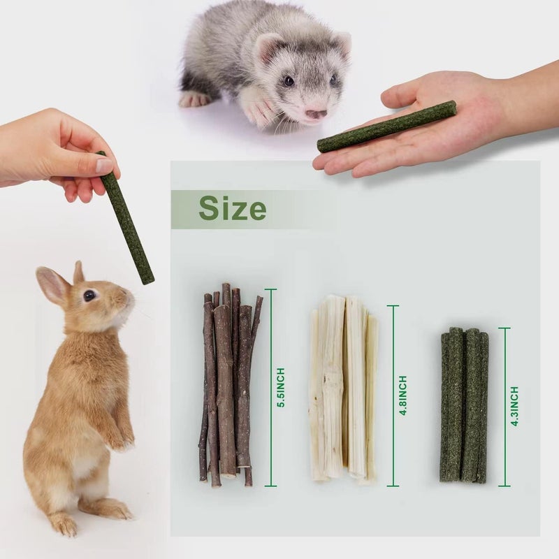 Dbeans Flourithing 300g Guinea Pig & Rabbit Chew Toys with Apple & Timothy Sticks - Prevent Overgrown Teeth with Sweet Bamboo Treats - Ideal Rabbit Treats Included - Image 2